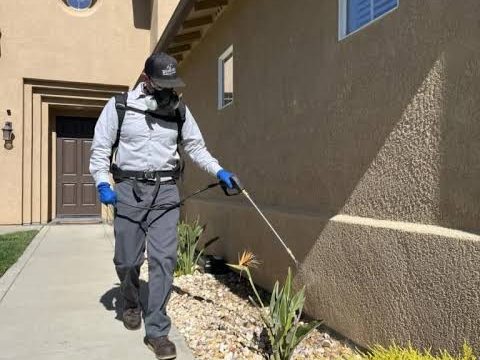 Person wearing protective equipment using a spray wand beside a home